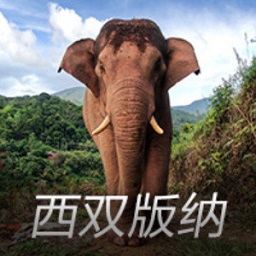 赛力斯急刹车：褪去华为光环后的焦虑